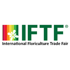 iftf 2025 logo