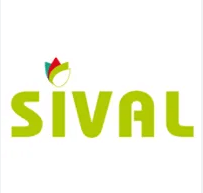 show-banner-image